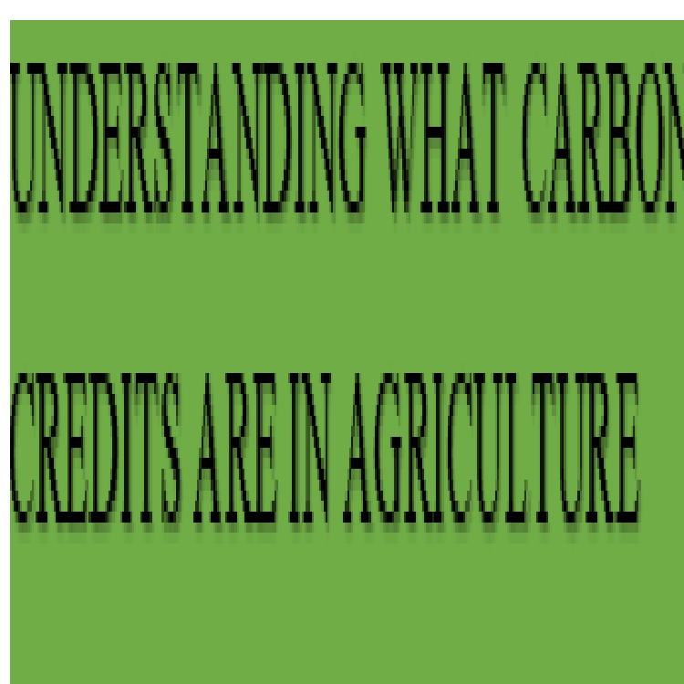 Agricultural carbon credit markets course, Nairobi, Kenya