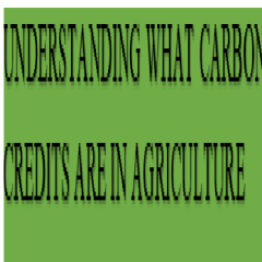 Agricultural carbon credit markets course