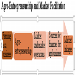 Agro-Entrepreneurship and Market Facilitation