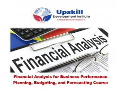 Financial Analysis for Business Performance Planning, Budgeting, and Forecasting Course