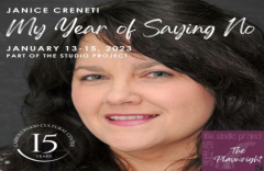 My Year of Saying No (The Studio Project)