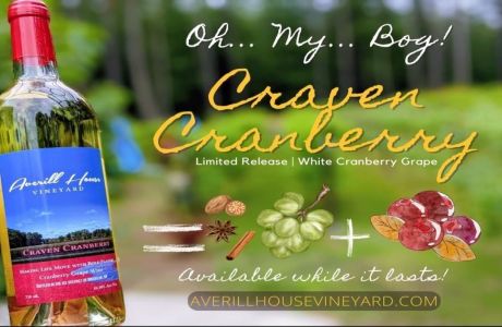 Craven Cranberry Limited Release Holiday Wine at Averill House Vineyard, Brookline NH December 2022, Brookline, New Hampshire, United States