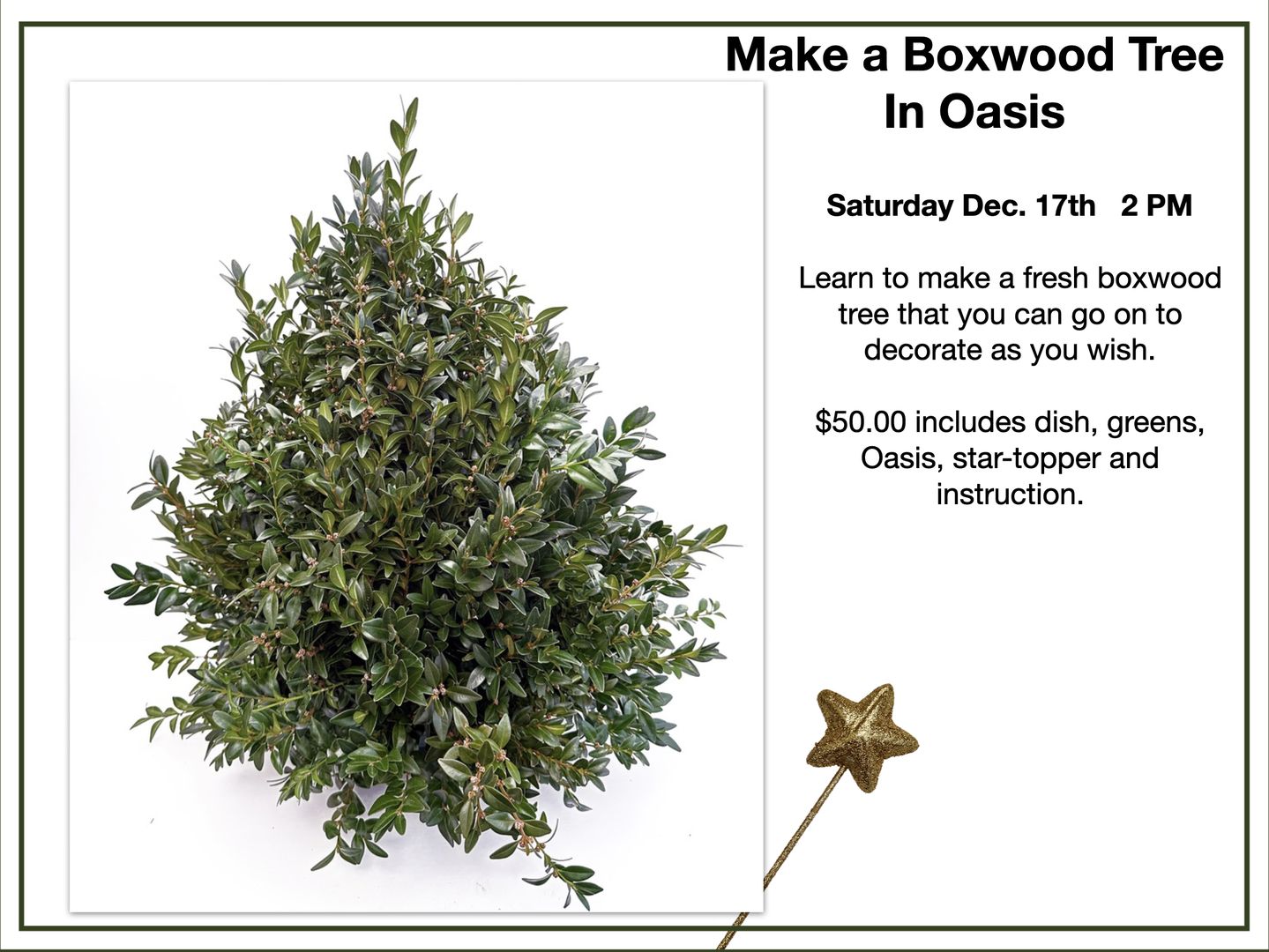 Learn to Make a Boxwood Tree, Barnstable, Massachusetts, United States