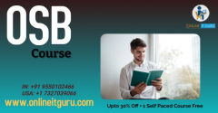 Oracle Osb Online Training | OSB Online Course