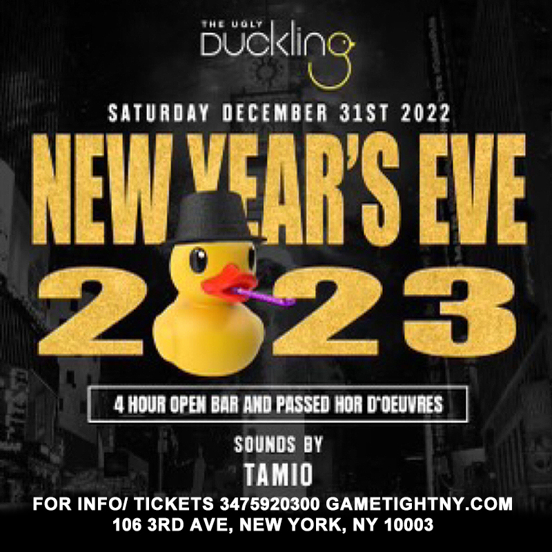 Ugly Duckling New Year's Eve party 2023, New York, United States