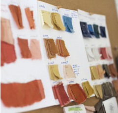 Natural Dye Workshop - Mordanting and Color Development
