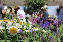 The Newark Garden Show 2023