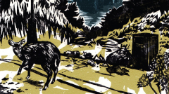 Wild City: Living with Urban Wildlife (18 January, Conway Hall Ethical Society)
