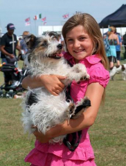 All About Dogs Show Newbury 2023