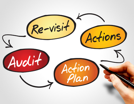 Writing Focused, Credible And Authoritative Audit Observations, Online Event