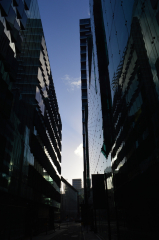 The Shoreditch Dry