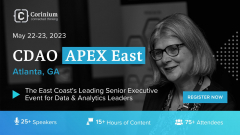 Chief Data And Analytics Officer (CDAO), APEX East