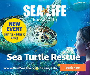 Sea Turtle Rescue, Kansas City, Missouri, United States