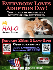 HALO Pet Recue Pet Adoption Day