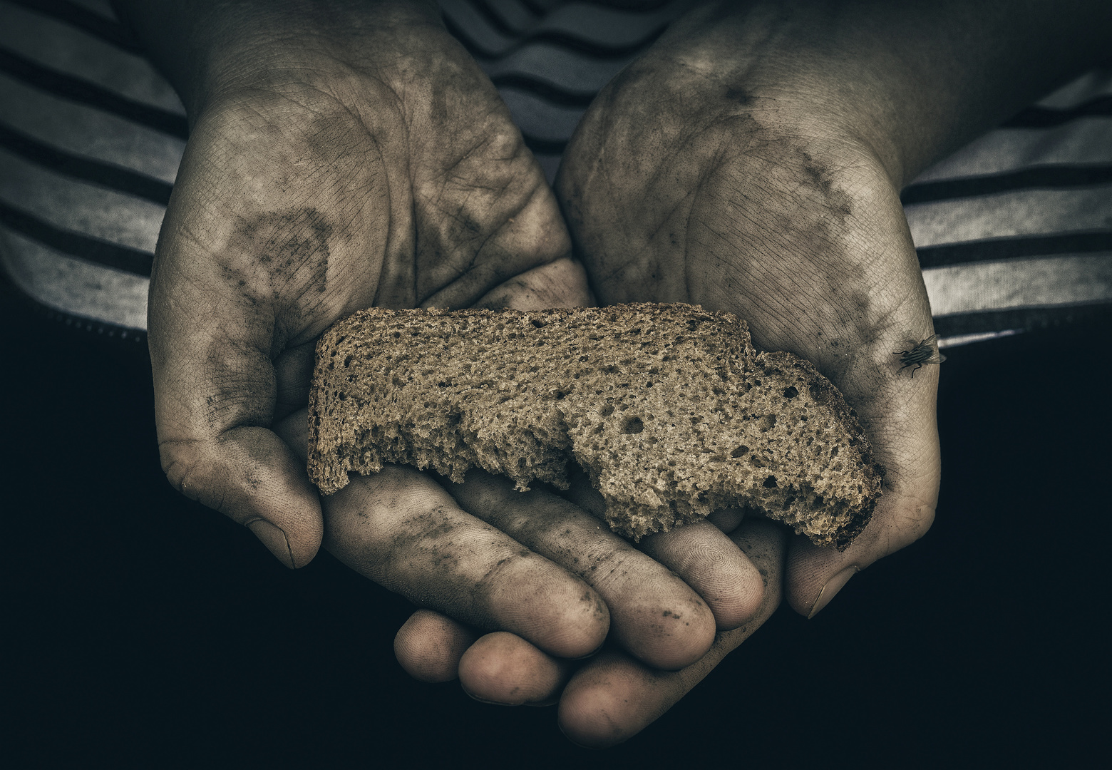Bread, War and Memory, Belgrade, Montana, United States