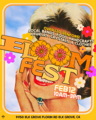 The Bloom Festival
