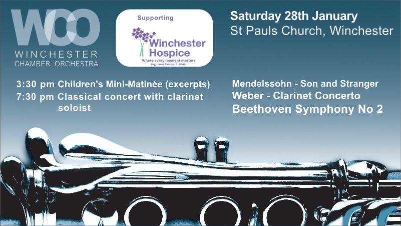 Classical Concert and Children's mini-matinee, Winchester, England, United Kingdom