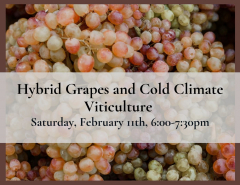 Hybrid Grapes and Cold Climate Viticulture