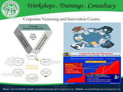 Corporate Venturing And Innovation Course