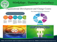 Organizational Development And Change Course