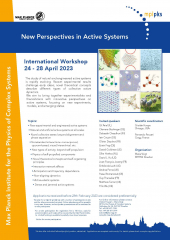 New Perspectives in Active Systems