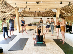 21 Day / 300 hour Yoga Teacher Training (MultiStyle)