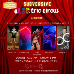 Subersive: eLEDtric Circus
