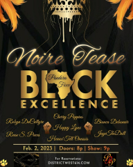 Noire Tease: Black Excellence