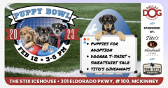 The Puppy Bowl