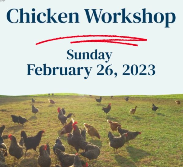 Chicken Workshop, Yoakum, Texas, United States