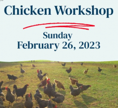 Chicken Workshop
