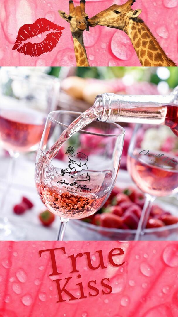 True Kiss Wine Release party at Averill House Vineyard in the Historic Ice District of Brookline, NH, Brookline, New Hampshire, United States