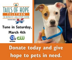 Lollypop Farm Tails of Hope Telethon