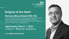 Caltech Watson Lecture: Enigma of the Heart--March 2023