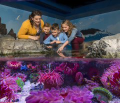 Mid-winter Break at SEA LIFE Michigan Aquarium