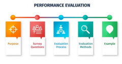PROJECT PERFORMANCE EVALUATION