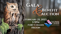 Rocky Mountain Raptor Program Gala and Benefit Auction