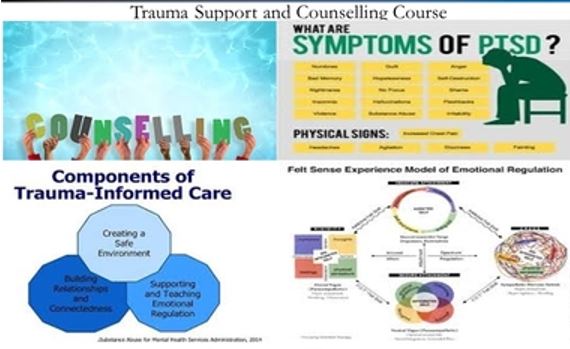 TRAINING ON TRAUMA SUPPORT AND COUNSELLING, Mombasa, Kenya