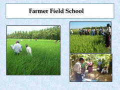 FARMER FIELD SCHOOL (FFS) WORSHOP