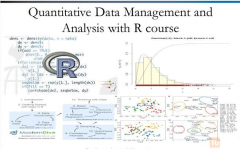 QUANTITATIVE DATA MANAGEMENT AND ANALYSIS WITH R COURSE