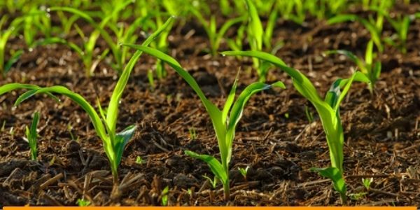 Training on Monitoring and Evaluation for Agriculture and Rural Development, Nairobi, Kenya