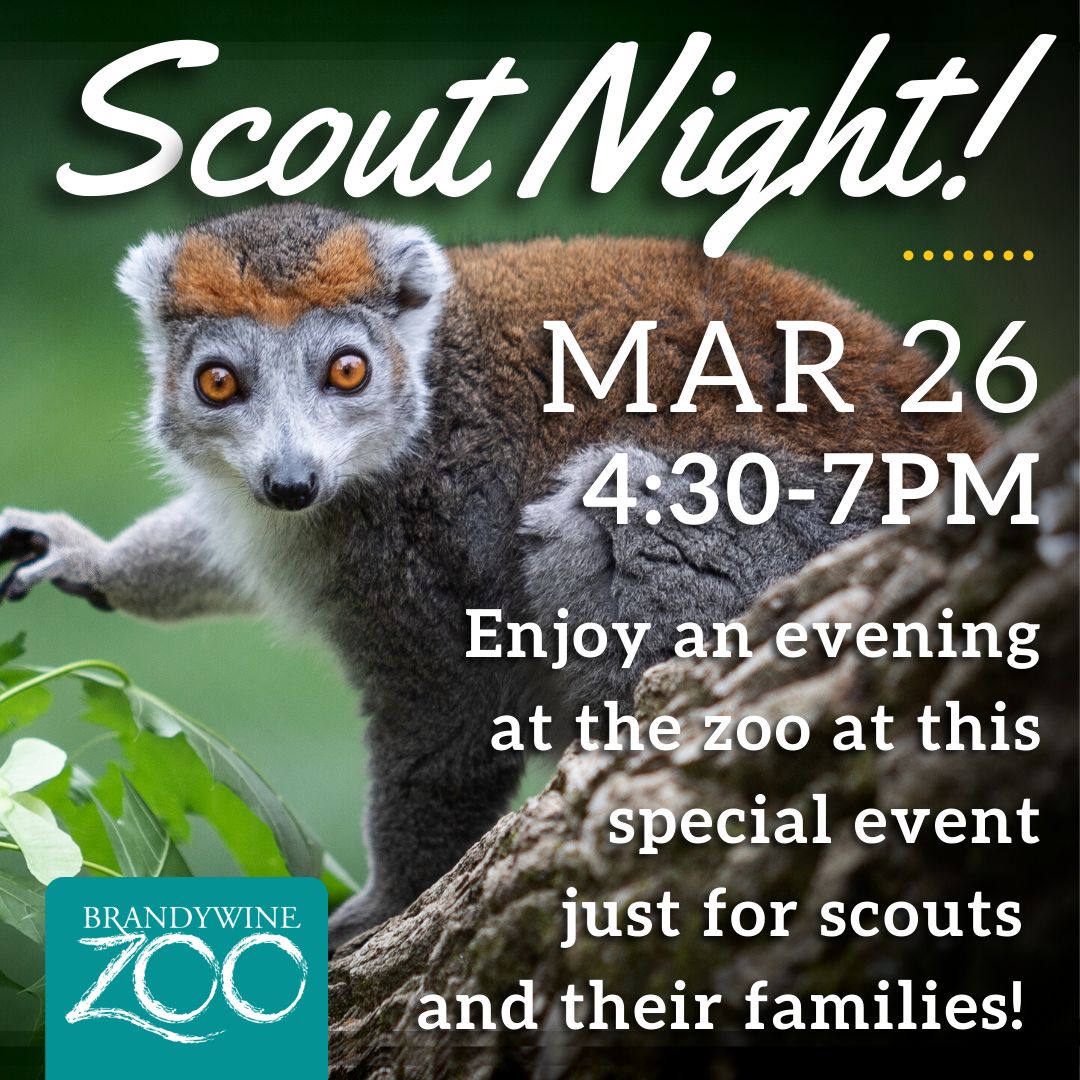 SCOUT NIGHT @ BRANDYWINE ZOO, Wilmington, Delaware, United States