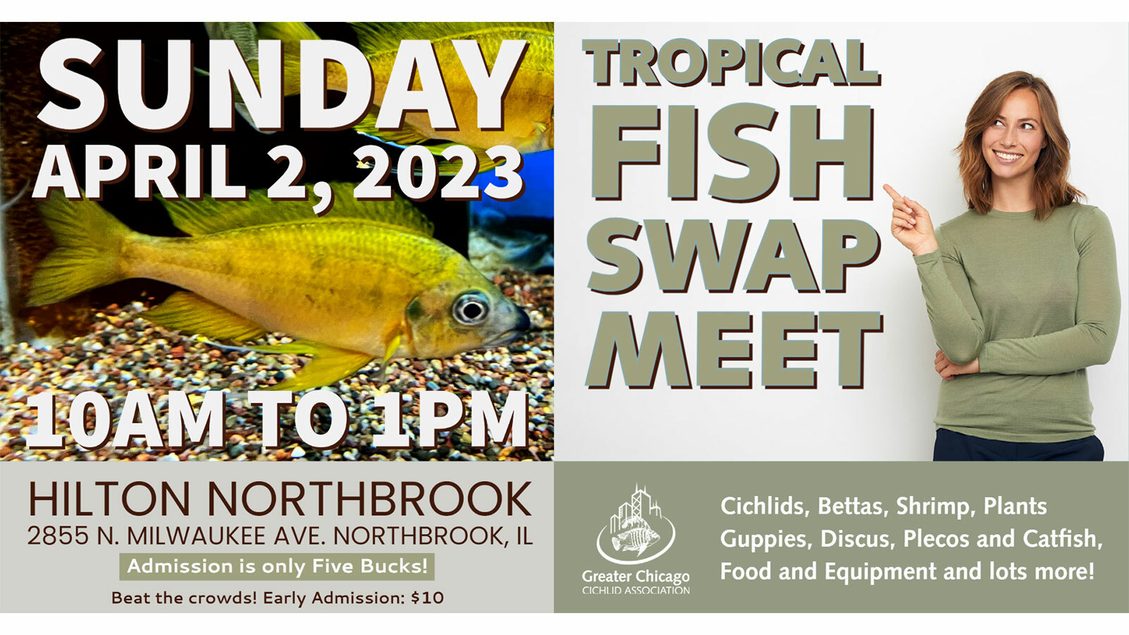 Tropical Fish Swap Meet, Northbrook, Illinois, United States