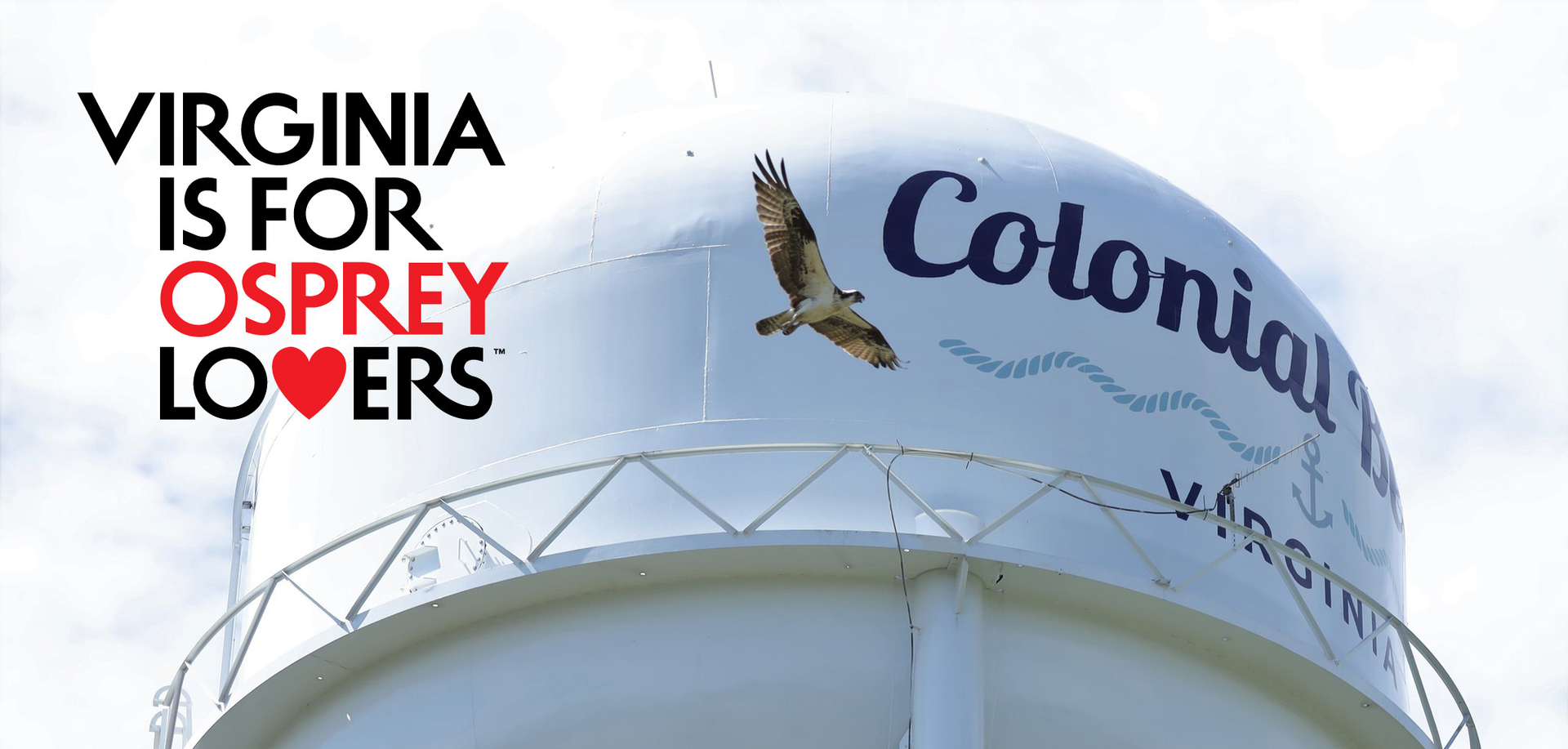 2023 Virginia Osprey Festival in Colonial Beach, Colonial Beach, Virginia, United States