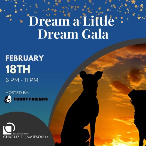 Dream a Little Dream Gala, Palm Beach, Florida, United States