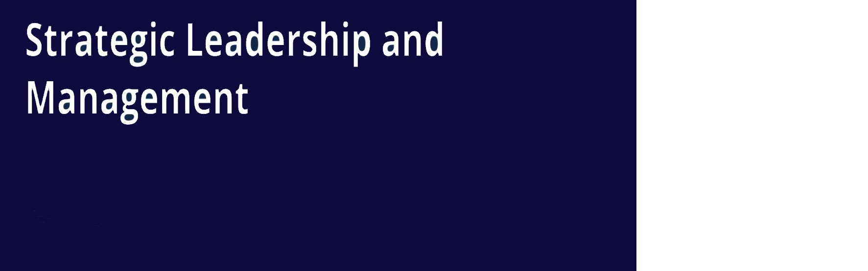STRATEGIC LEADERSHIP AND STRATEGIC MANAGEMENT FOR EXECUTIVES PROGRAM, Mombasa, Kenya
