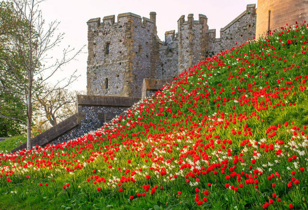 Arundel Castle’s 2023 Tulip Festival, Arundel, England, United Kingdom