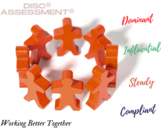 DiSC® Workplace® Overview – Working Better Together