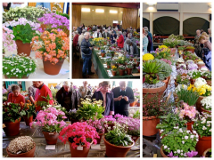 NATIONAL FLOWER SHOW AND PLANT FAIR