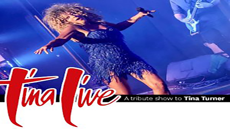 Tina Live - A Tribute to Tina Turner, Exmouth, England, United Kingdom